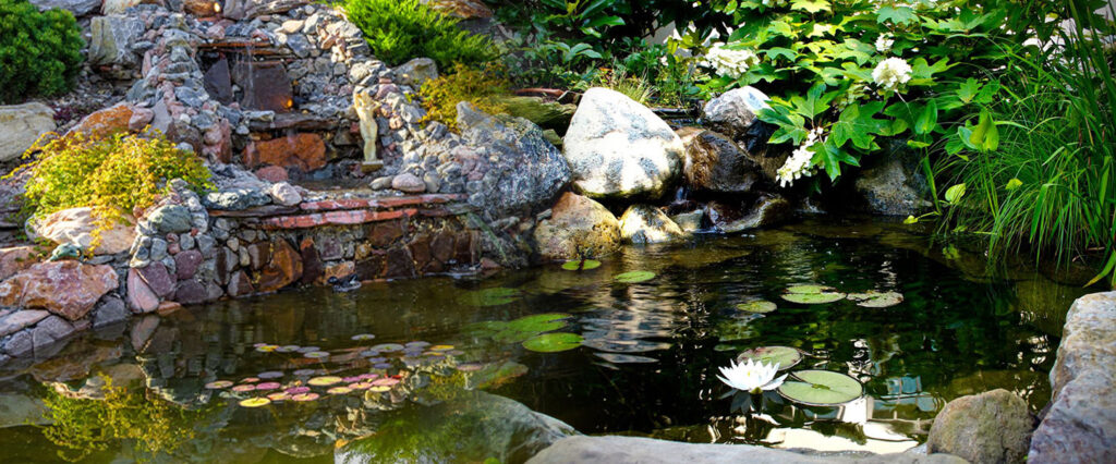 Expert Advice Essential Steps for Successful Pond Installation